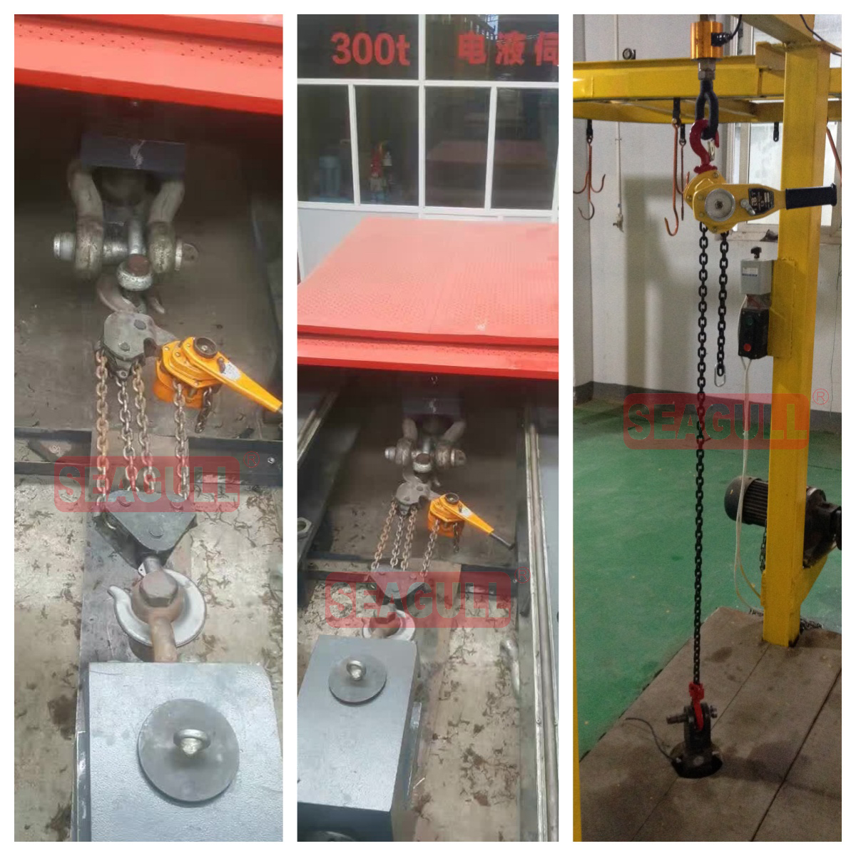 0.75t-6t Seagull/OEM Double Beam Crane Packed in Carton and Pallet Lever Block 12