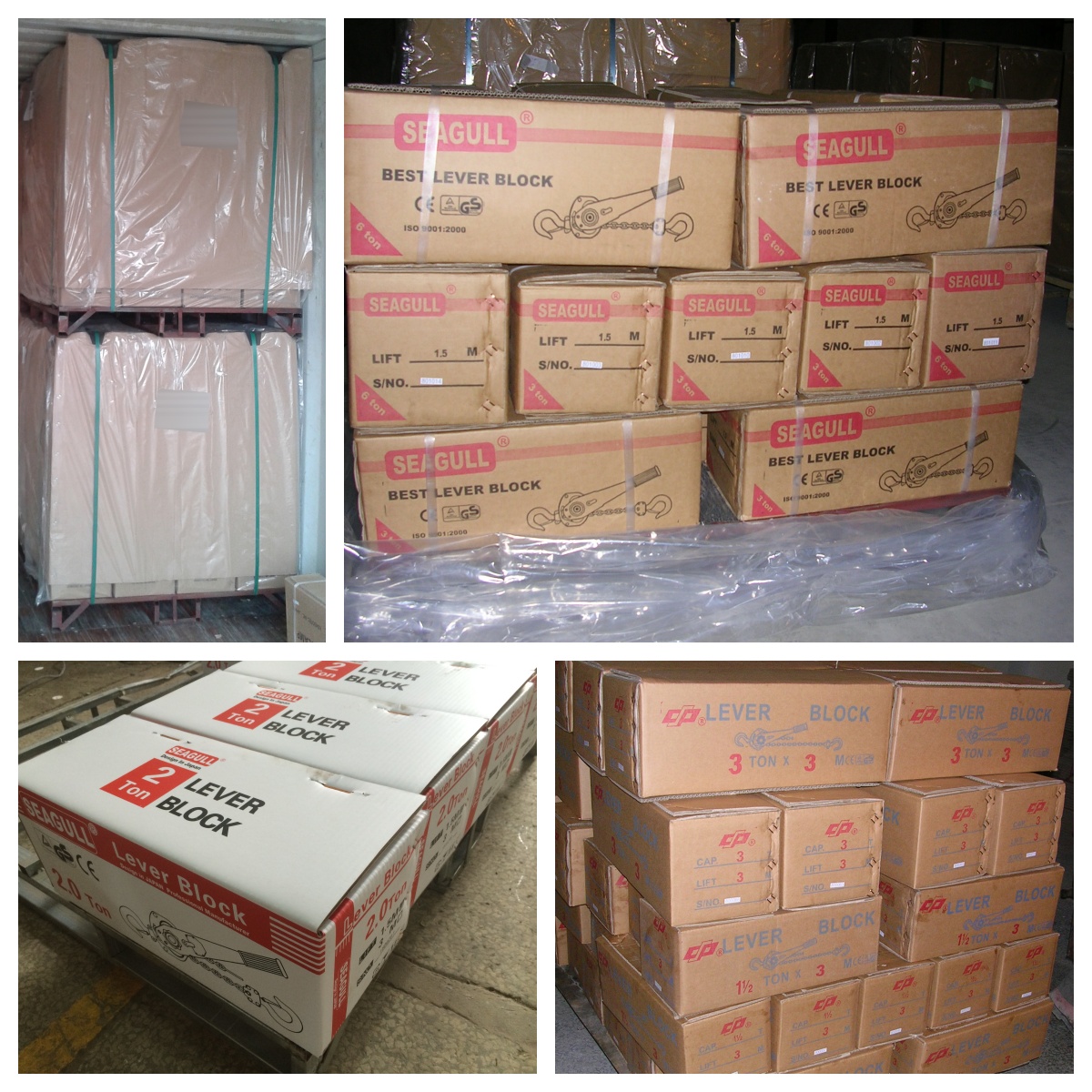 0.75t-6t Seagull/OEM Double Beam Crane Packed in Carton and Pallet Lever Block 14