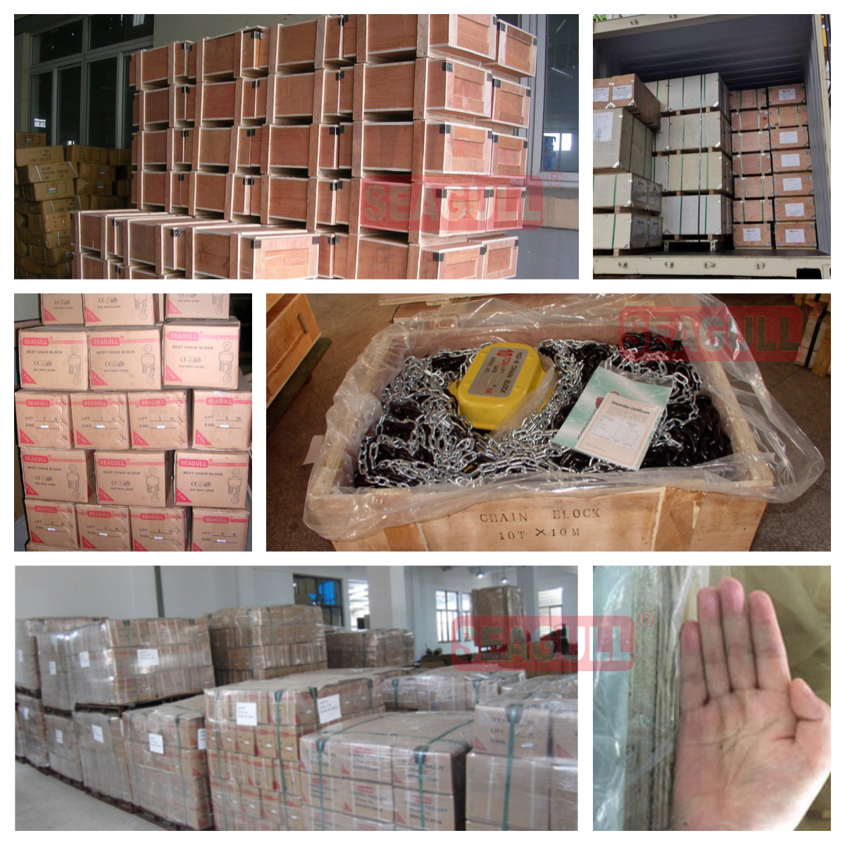 0.5-30t Single Grinder Crane Seagull/OEM Carton Box+Pallet or Wooden Case Chain Hoist Manual Block 15