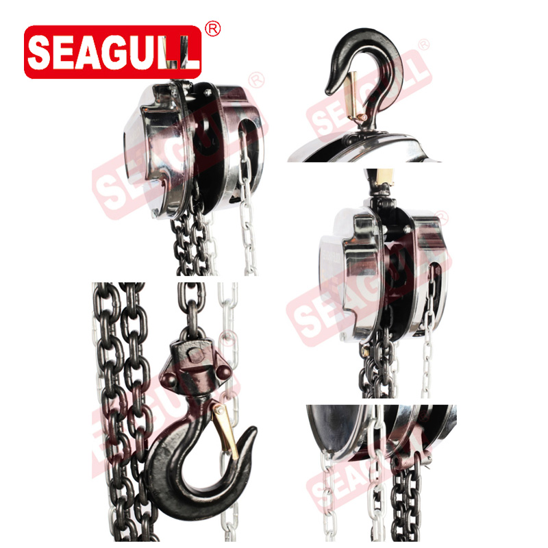 0.5-30T Seagull/OEM Carton Box+Pallet or Wooden Case Chain Blocks 10