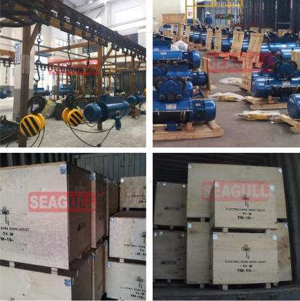 200-1000kg small electric hoist, Home chain hoist 13