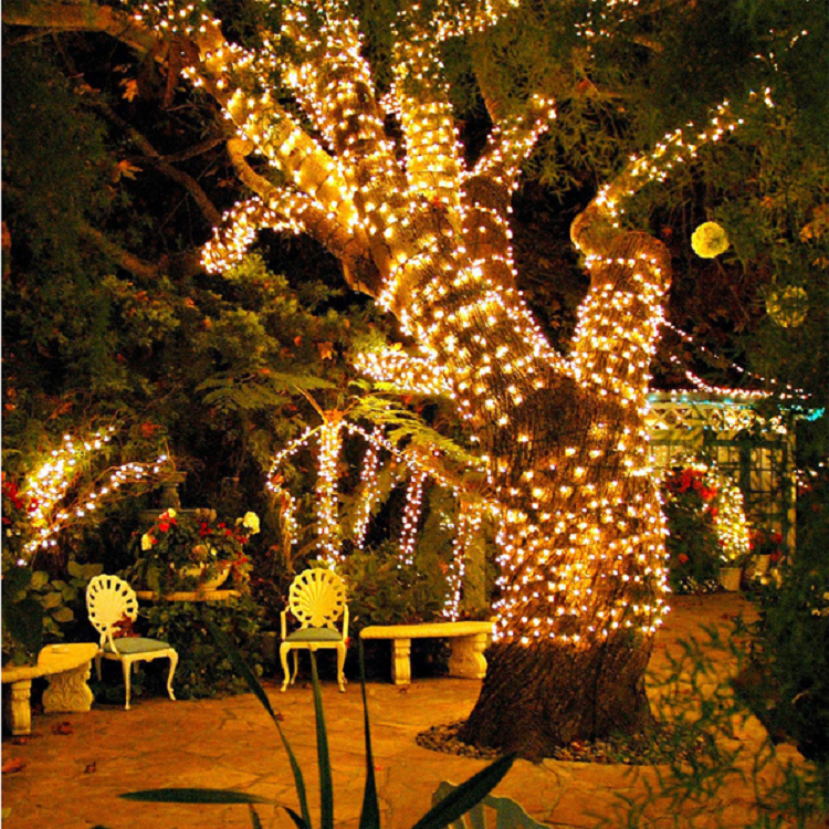 Solar string light-12.png