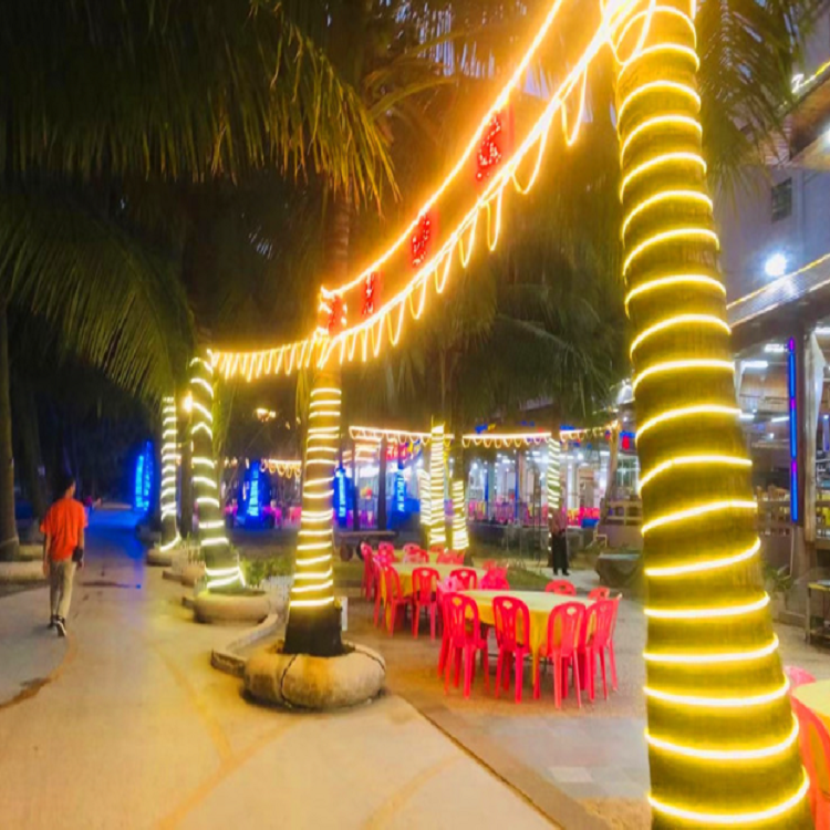 LED rope light-16.png