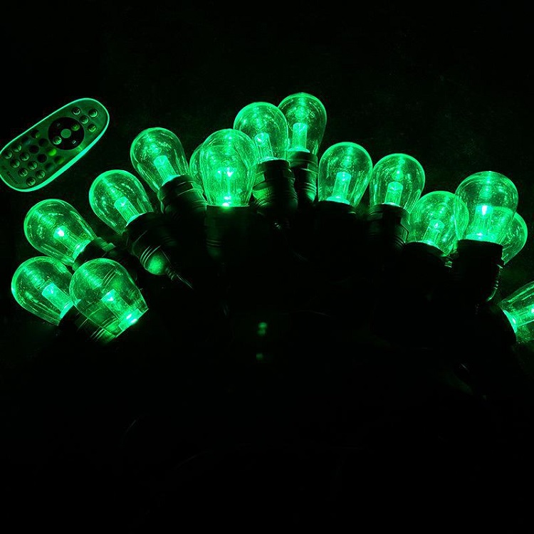 RGB S14 festoon light-20.jpg