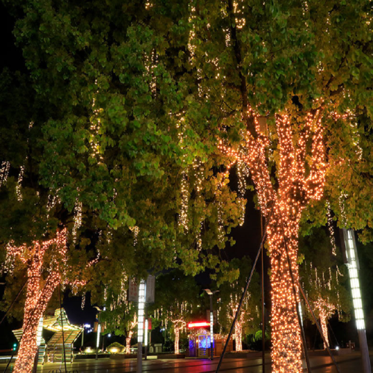 LED fairy light-5.png