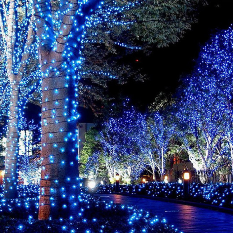 LED fairy light-7.png