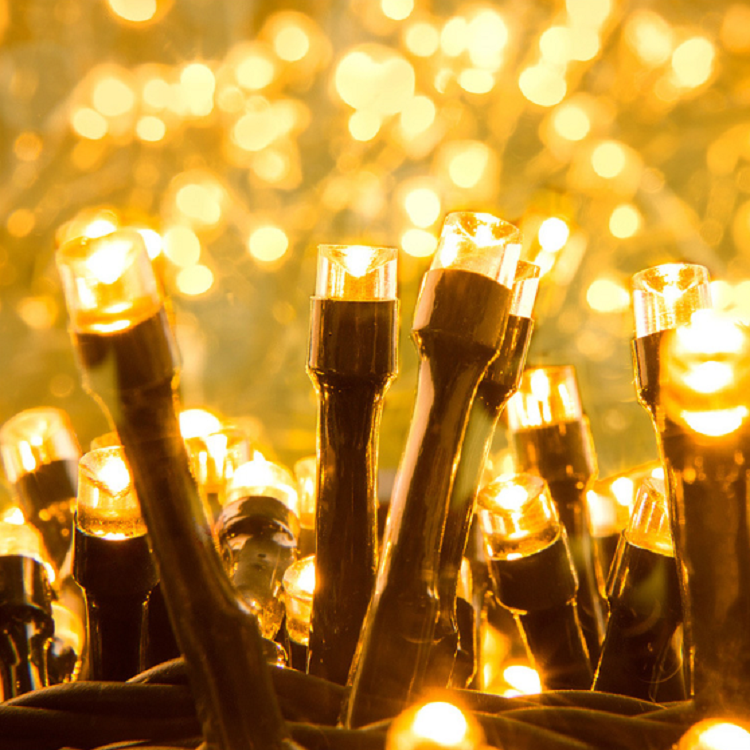 LED fairy light-8.png