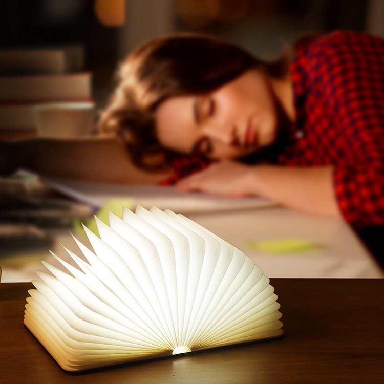 led book light-1.jpg