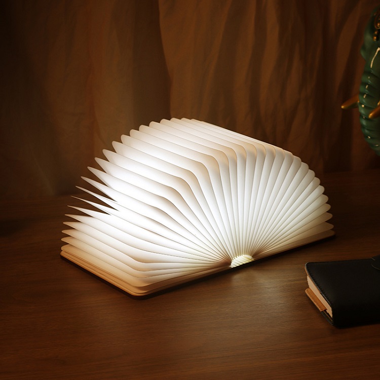led book light-3.jpg
