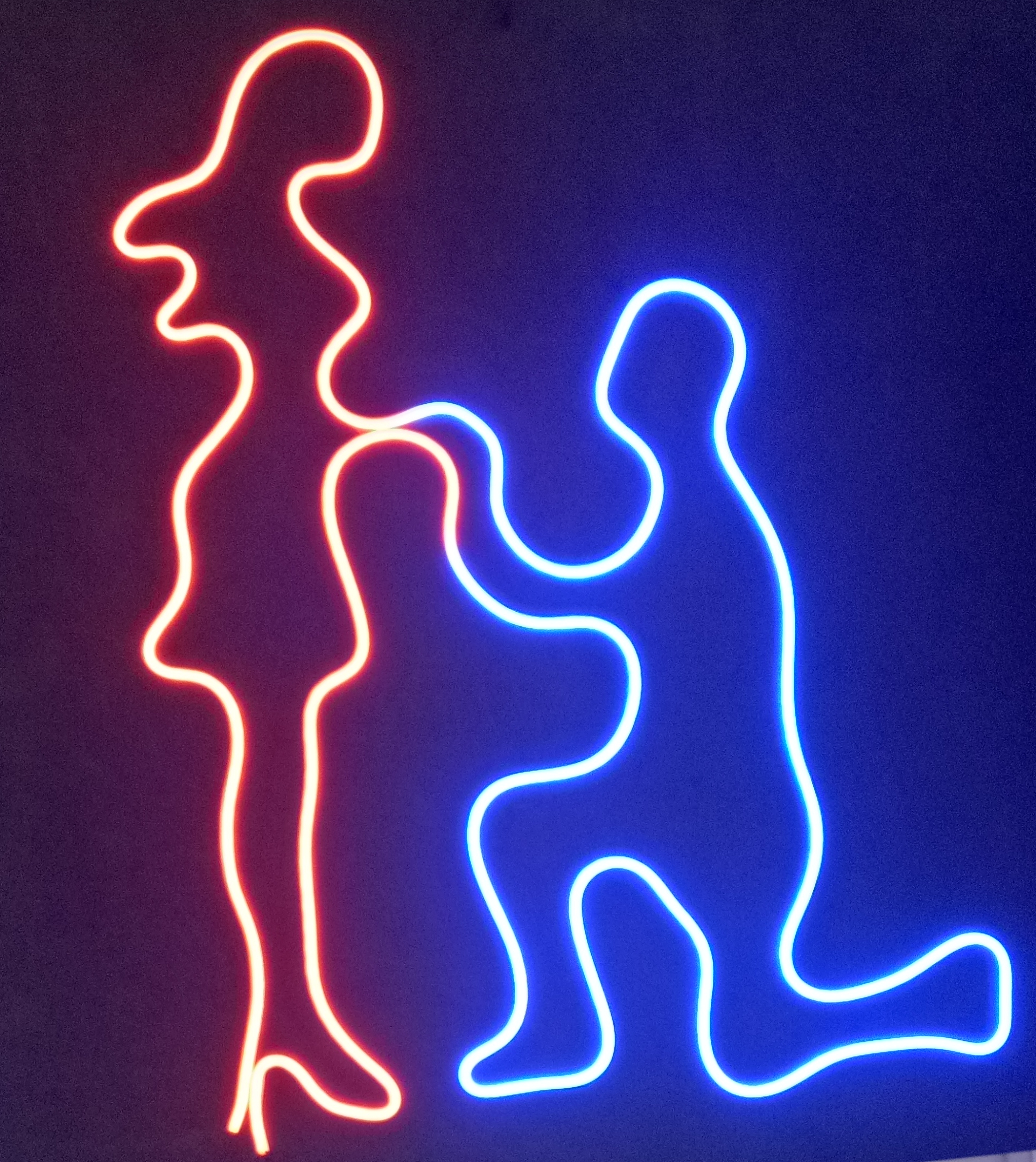 flex neon light