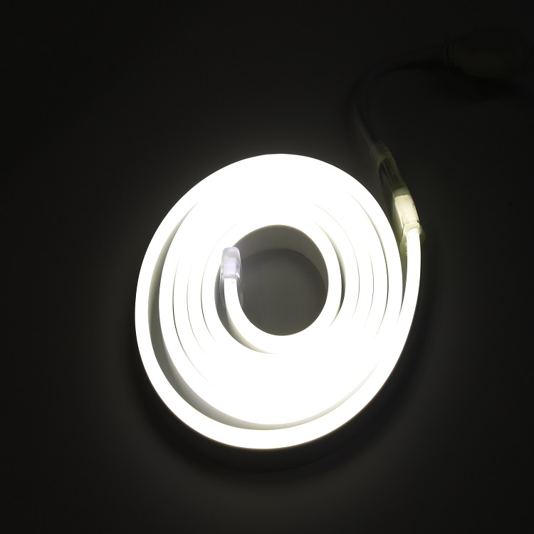 LED neon light-7.jpg