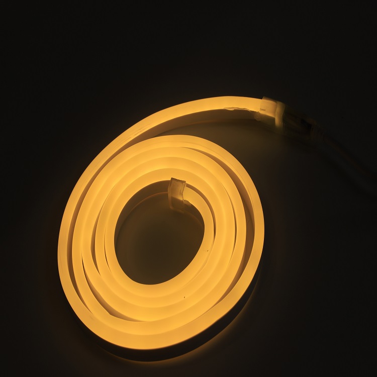 LED neon light-6.jpg