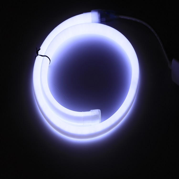 neon lamp-15.jpg