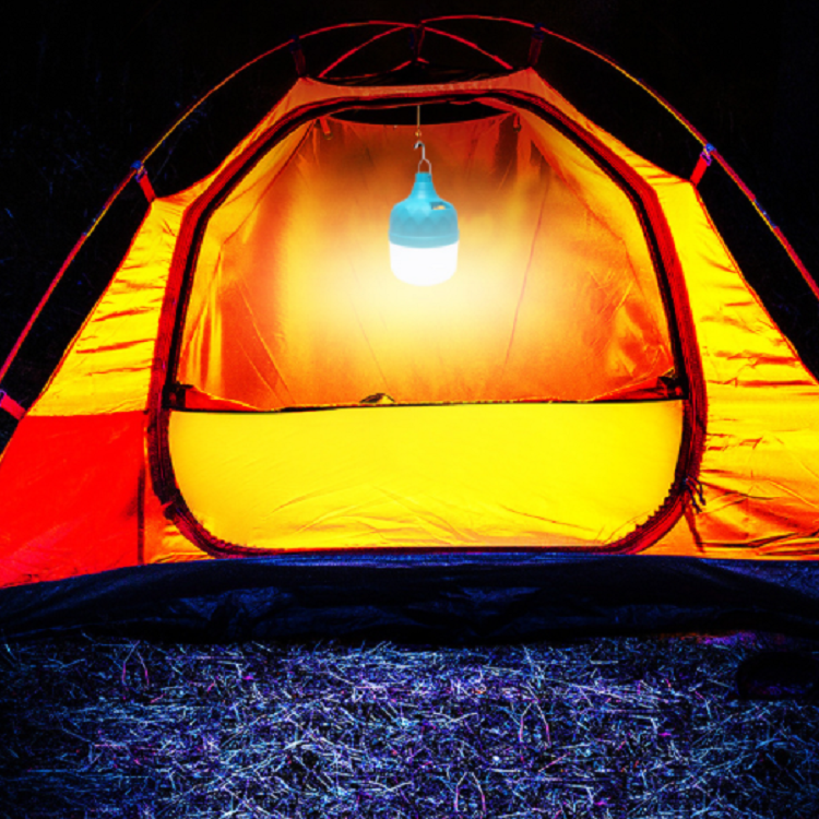 led emergency bulb-13.png