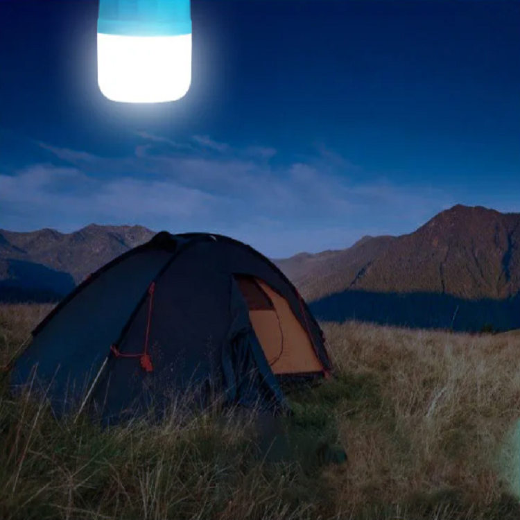 led emergency bulb-17.png