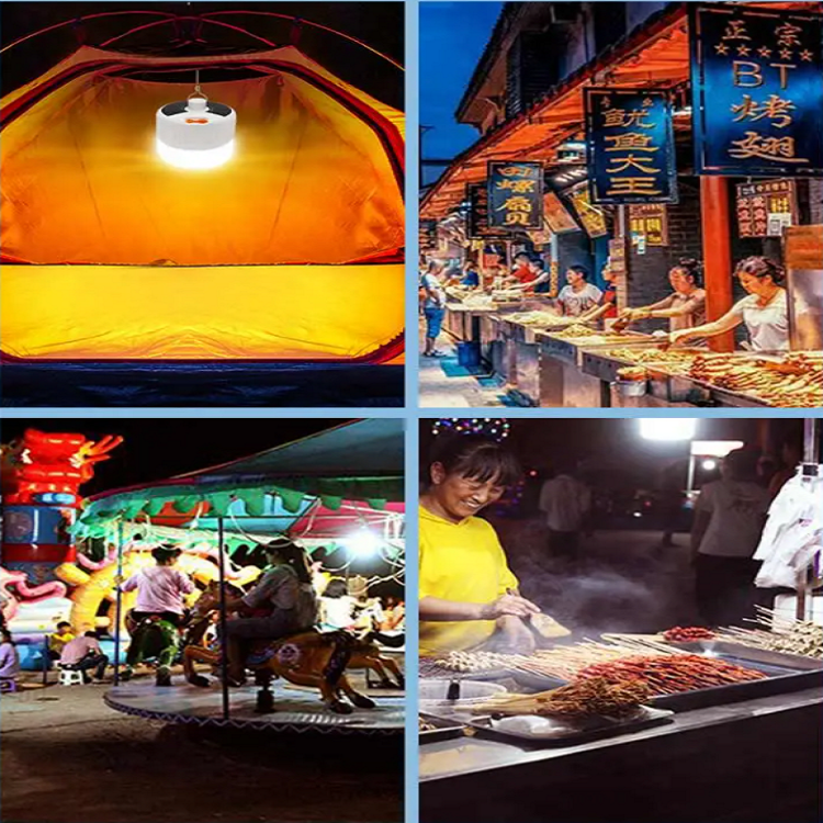 solar emergency bulb-8.png