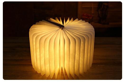 book light (3)
