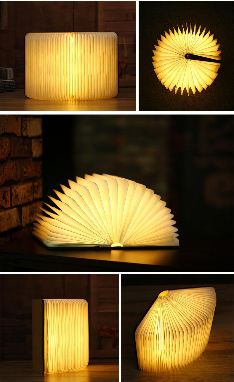 book light (5)