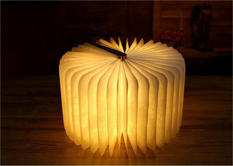 book light (1)