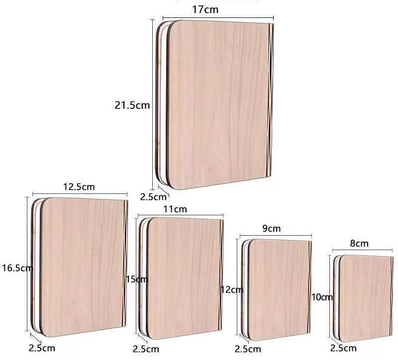 book light (8)