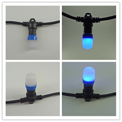 220v e14light (5)
