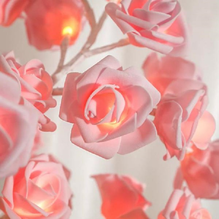 rose-11.jpg