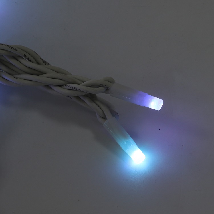fairy light (17)