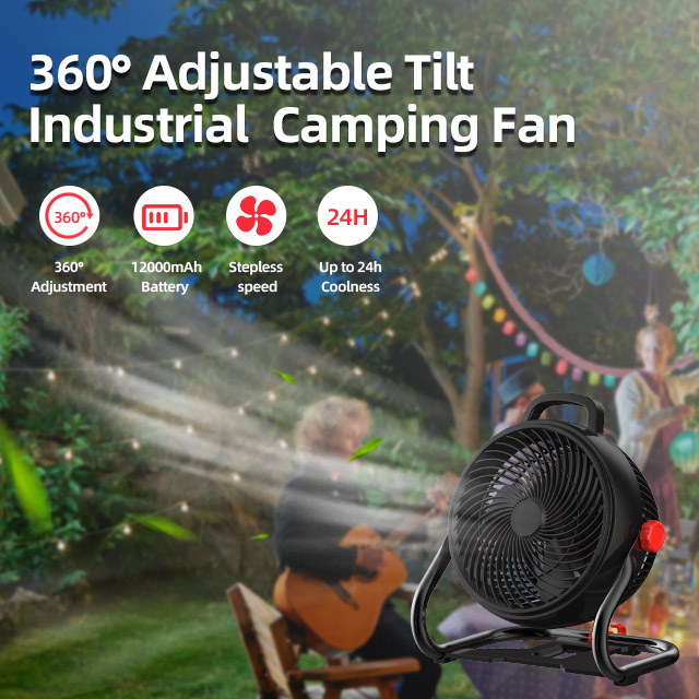 fan light-10.jpg