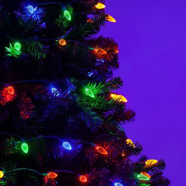 C9 string light US (10)