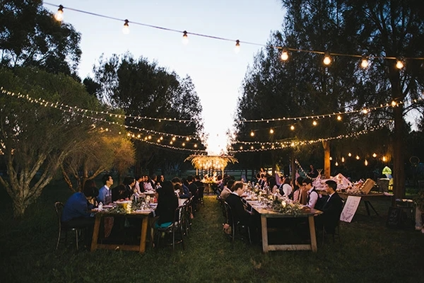 Outdoor Garlands led festoon lights E27 B22 string 9