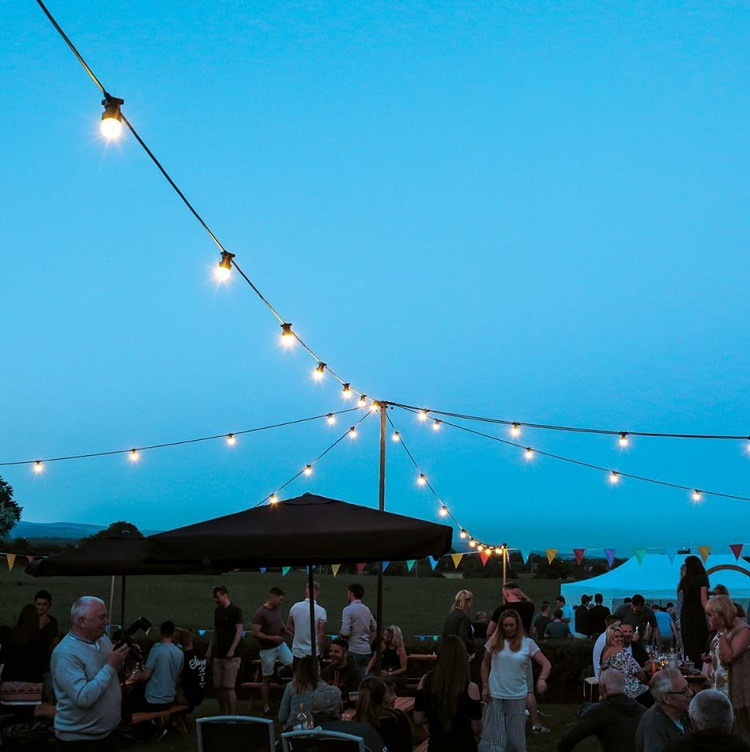 Outdoor Garlands led festoon lights E27 B22 string 10