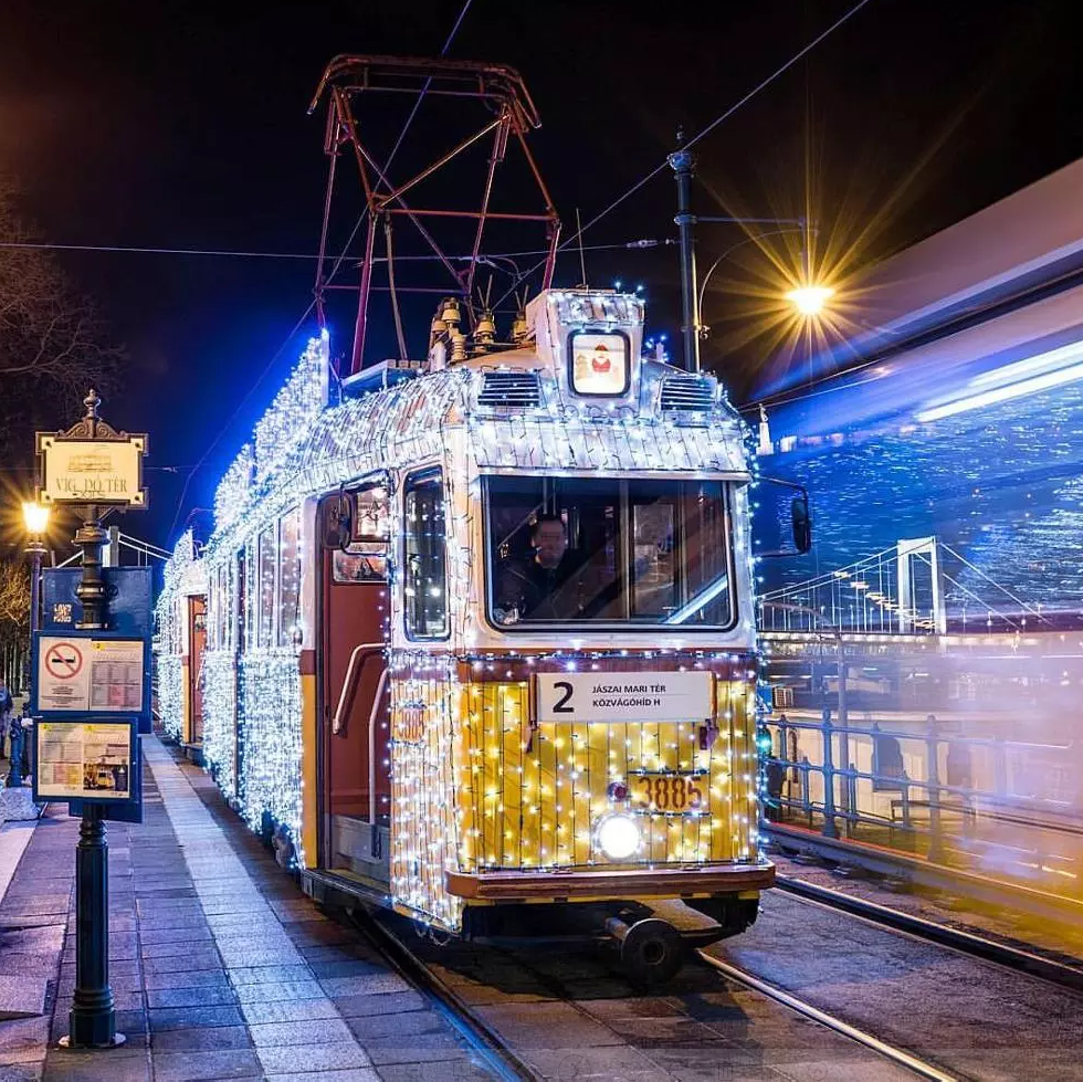 IP44 10m 100 أضواء خرافية led لتزيين ديوالي أضواء عيد الميلاد في الهواء الطلق 14