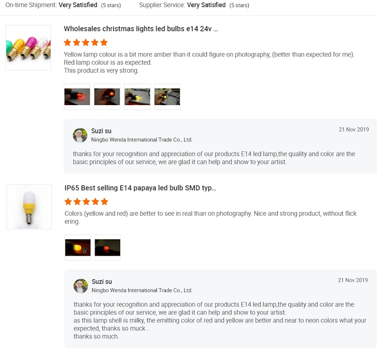 Cel mai bun 220V IP44 de Crăciun în aer liber G45 șir de decorare pentru petreceri. Lumini cu LED pentru curele G45 String light Company - Wenda Deco 26