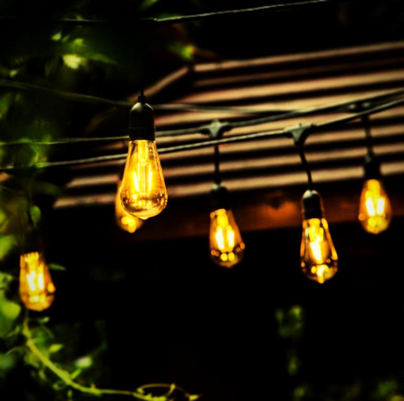 คุณภาพ Edison Lighting E27 B22 festoon Globe ผู้ผลิตหลอดไฟ LED | เวนด้า เดโค 15