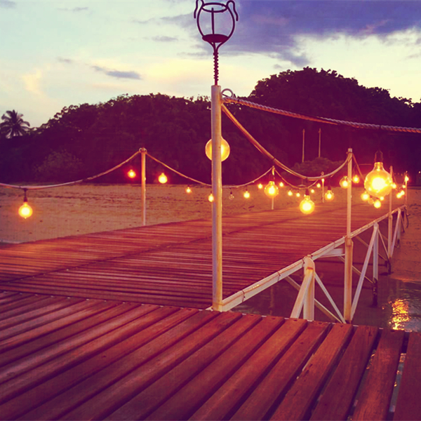 คุณภาพ Edison Lighting E27 B22 festoon Globe ผู้ผลิตหลอดไฟ LED | เวนด้า เดโค 17