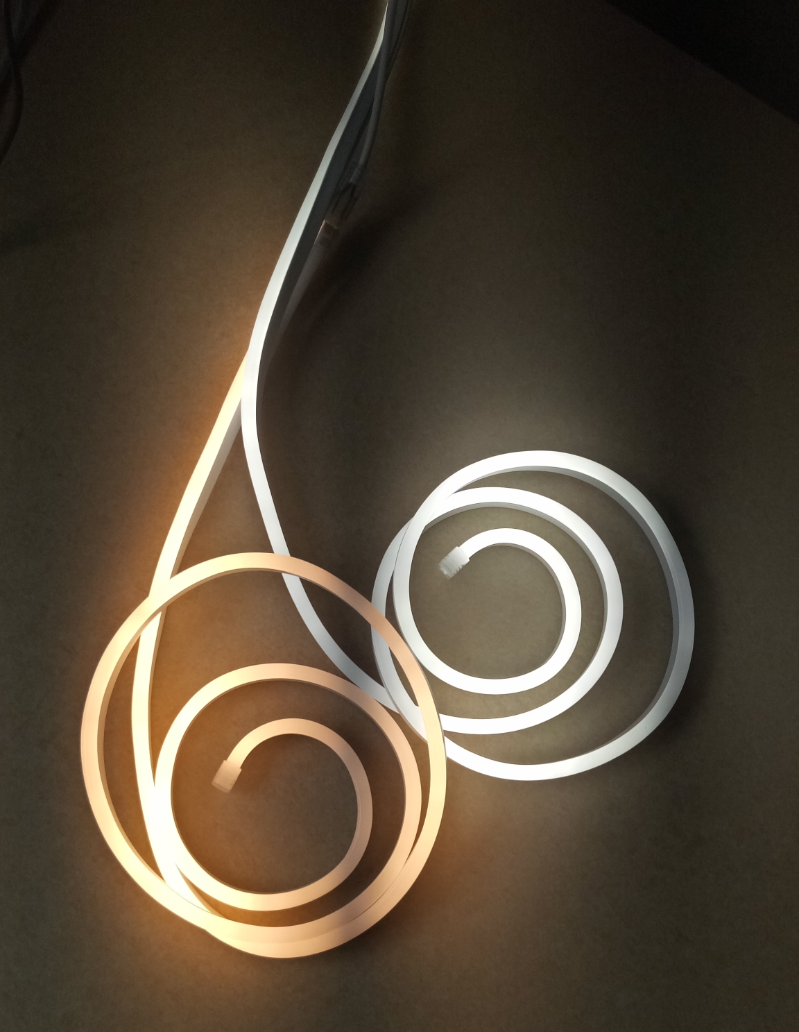 Beste hohe Helligkeit 12 V 24 V 220 V Warmweiße LED-Weihnachtsneonlichter Firma - Wenda Deco 8