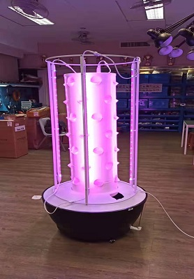 Hong Kong Hydroponic System