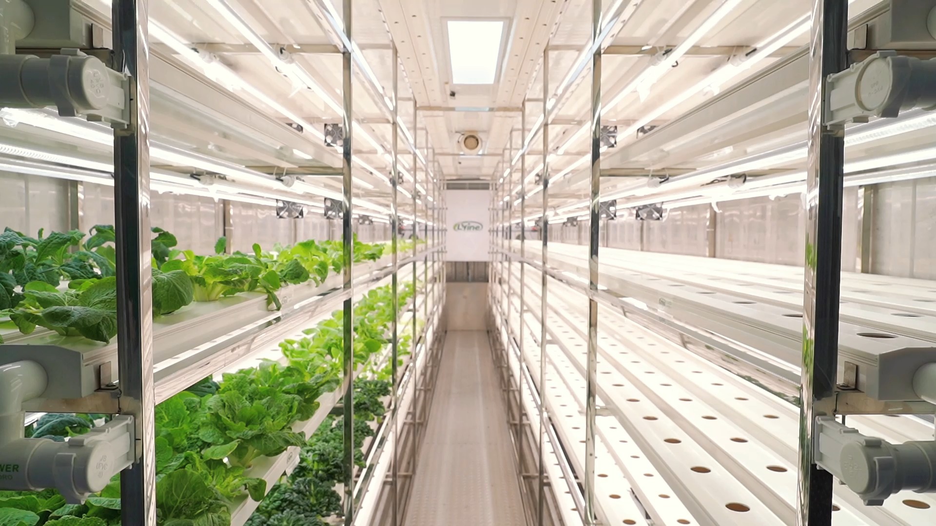 水耕栽培 NFT 成長コンテナ - Lyine