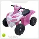 ATV Quad 5,0 km/h von 1