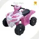 Quad ATV 30 kgswholesaler 1