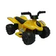 Childrens Electric Quad Upply 5