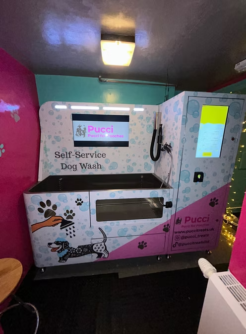 Planning to Open a Pet Store? WEIMI Has the Perfect Solution for You! 1