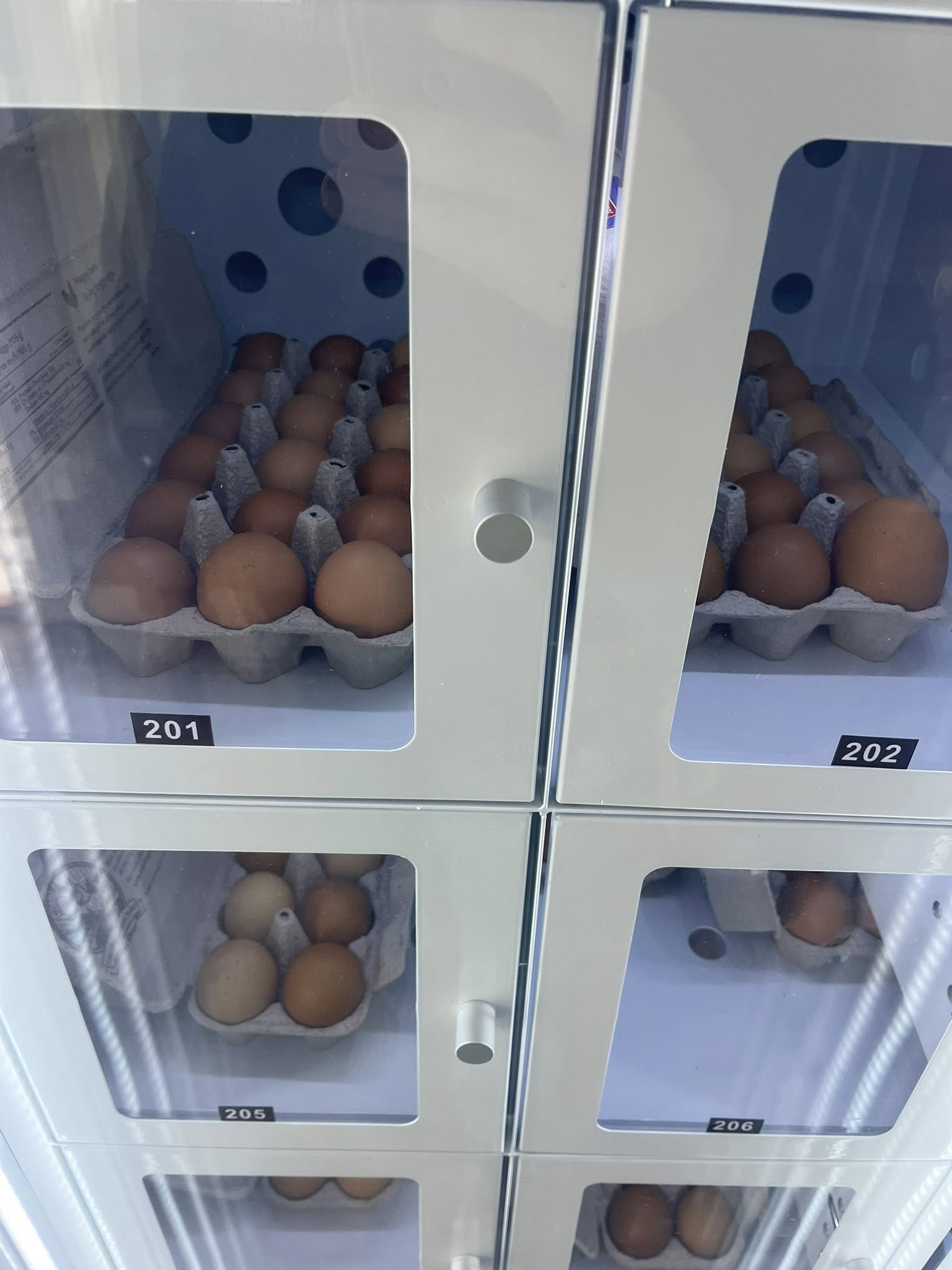 The Chilliwack Gold Mine in a Box: How WEIMI's Chilled Locker Vending Made a Canadian Farm the Envy of the Valley 3