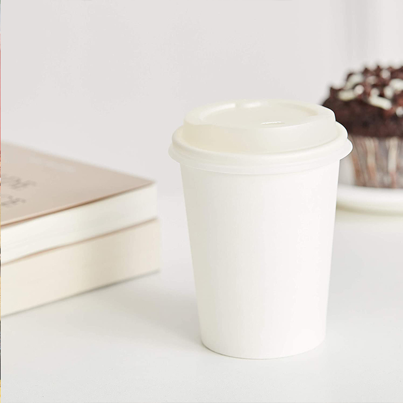 Here's What People Are Saying About eco friendly disposable coffee cups