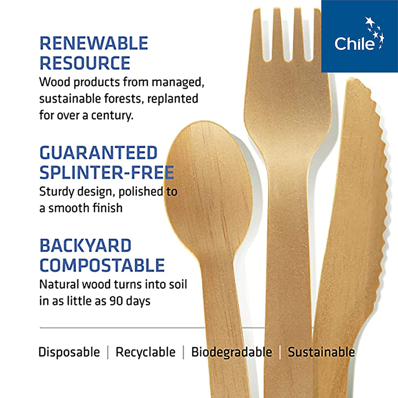 Uchampak - Forks Spoons bıçaq bıçaqları, birdəfəlik eko dostu davamlı və taxta süfrə qablarına pulsuz alternativ 9