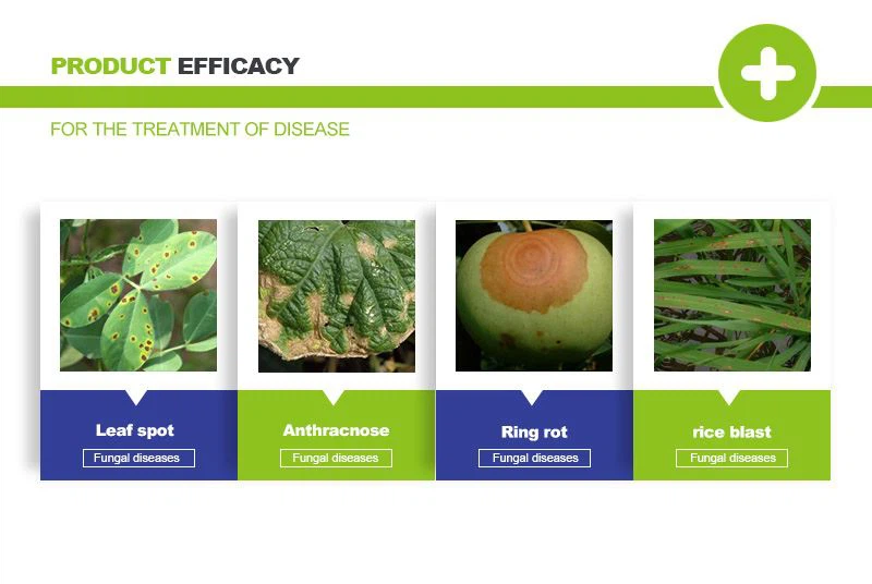 carbendazim fungicide uses carbendazim fungicide uses