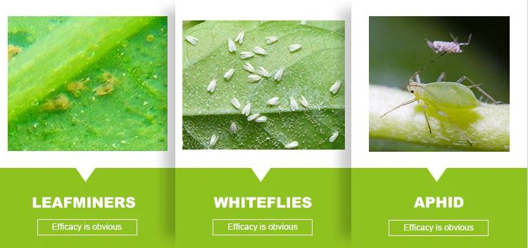 lambda cyhalothrin uses.jpg lambda cyhalothrin uses.jpg