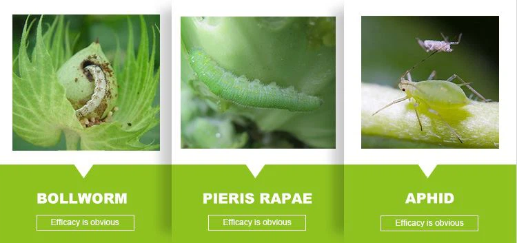 deltamethrin on pests 1