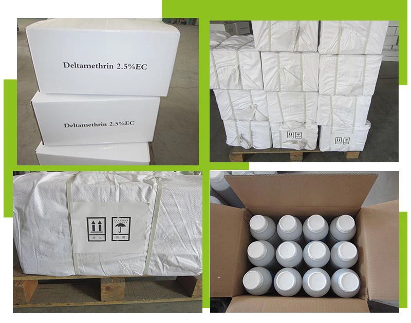 Packaging of deltamethrin Packaging of deltamethrin
