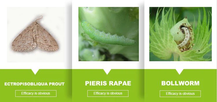 Lambda Cyhalothrin Insecticide